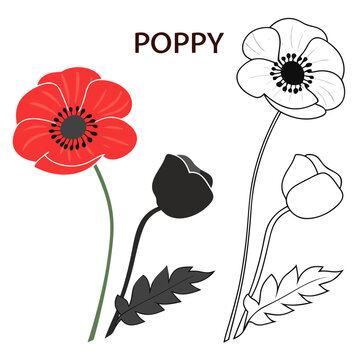 Poppy Flower Outline Images – Browse 24,483 Stock Photos, Vectors, and ...