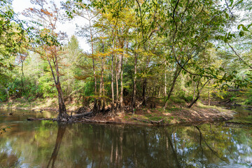 Big Thicket National Preserve, Texas, USA