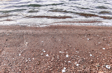 Gentle waves wash onto a pebbly shore scattered with seashells the water is calm and clear the beach is quiet with earthy tones creating a peaceful natural scene