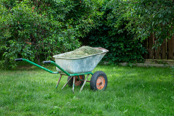 a grass cart in the garden