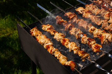 grilled meat on the grill