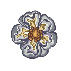 Fig flower bright hand drawn