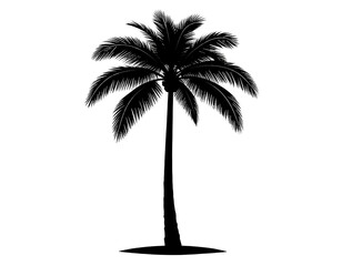 Stylized outline drawing of a palm tree frond with intricate details isolated on transparent background