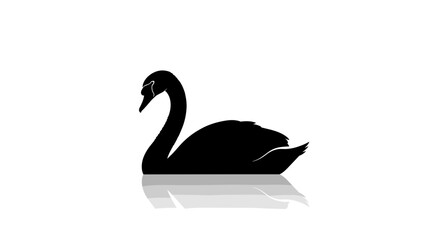 Elegant Black Swan Silhouette with Reflection on White Background.