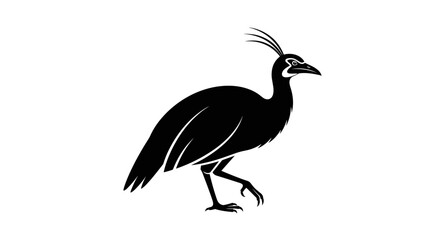 Simple black silhouette of a walking cassowary bird icon.