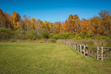Countryside field bordered by a wooden fence and forest with colorful autumn foliage under clear blue sky in Canada.