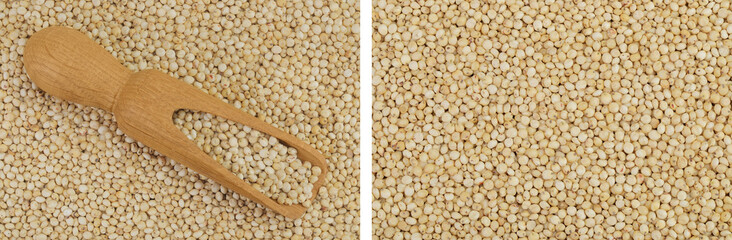 background of sorghum seeds with wooden scoop. Top view. Flat lay.