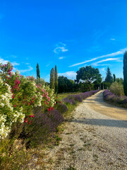 Country Road in Provence France