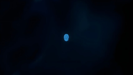 Minimal glowing fingerprint icon on dark background, representing cybersecurity. Ample empty space for text or design placement.