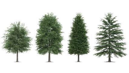 Set of various trees with rich green leaves and needles  . Isolated on transparent background, png