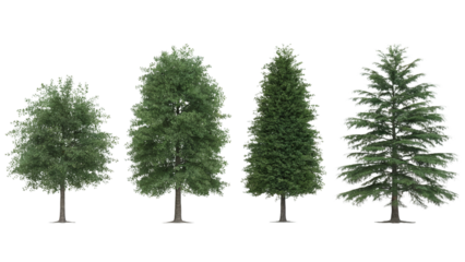 Set of various trees with rich green leaves and needles  . Isolated on transparent background, png