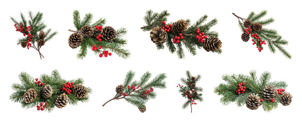 PNG Festive pine cones and berries arrangement, element set on transparent background