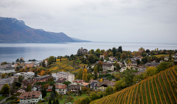 Autumn colour, Clarens, Switzerland