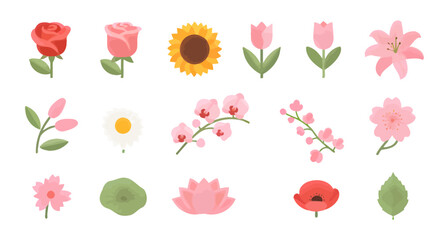 Collection of various beautiful flowers and leaves