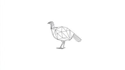 Geometric turkey design