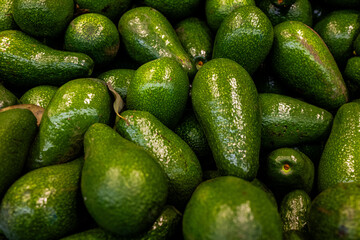 Fresh green avocados on display at local market
