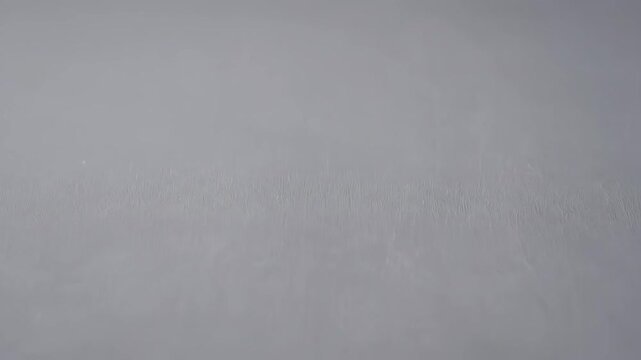 Subtle Gray Texture Background - A soft, neutral gray background with a subtle texture gradient. The smooth surface creates a versatile backdrop.