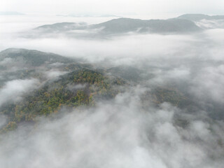 Drone Landscape of Mountain Forest with Dense Fog