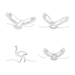 Minimalist Single Line Art Collection of Birds Eagle Owl and Ostrich Illustration