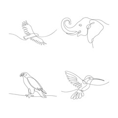 Continuous line art of animals eagle hawk elephant hummingbird minimalist illustration