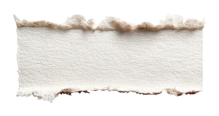 PNG Torn edge paper background white torn.