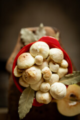 Fresh slippery jack mushrooms with bay leaf and quince on rustic background