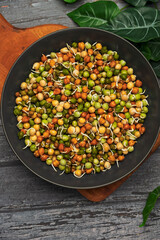 High Protein Mixed Sprouts Salad Bowl – Healthy Vegan Meal.