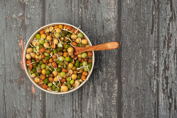 High Protein Mixed Sprouts Salad Bowl – Healthy Vegan Meal.