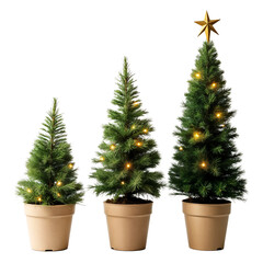 Three small christmas trees with a gold star on top of them.