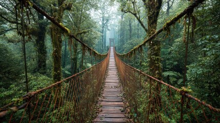 Old rope bridge spans misty jungle canopy through dense green foliage.
