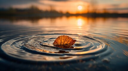Single autumn leaf floats on water creating ripples at sunset