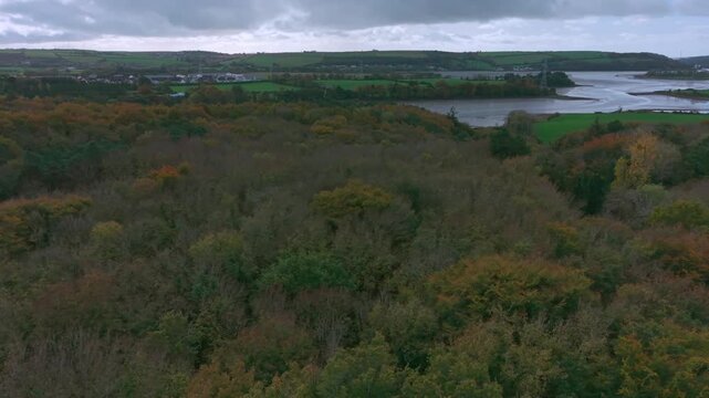 Drone footage of the forest in Autumn (Fall), Cork, Ireland