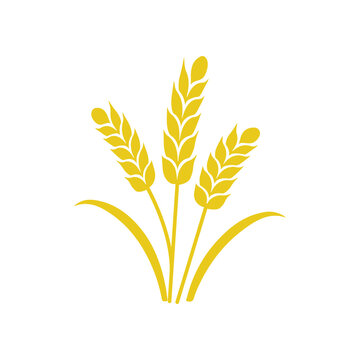 Psyllium husk icon