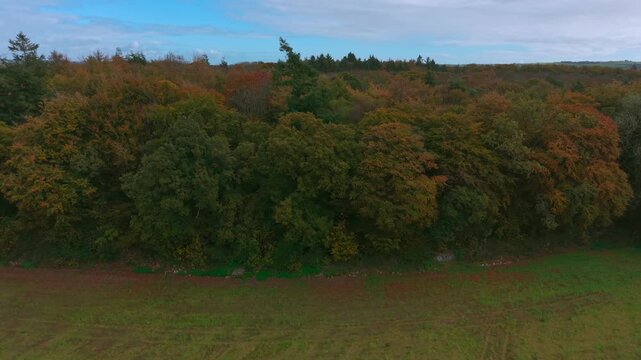 Drone footage of the forest in Autumn (Fall), Cork, Ireland