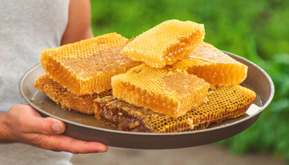 Honey in a man hands. Selective focus.
