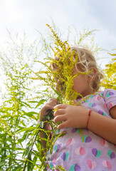 Child in ragweed flowers allergy. Selective focus.