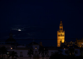 Fototapeta premium Seville, Spain - February 24, 2024. The Giralda Tower of Seville illuminated under the moonlight on an Andalusian night
