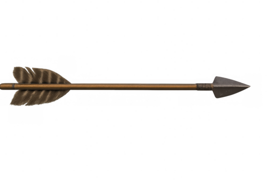 Arrow with fletching and metal arrowhead for archery target practice or traditional hunting on transparent background