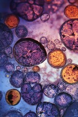 Macro pattern of overlapping rounded membranes forming translucent organic clusters.