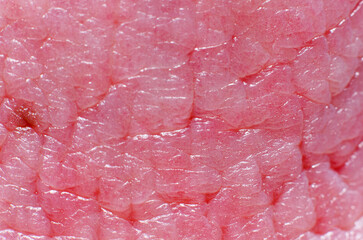 Extreme macro close-up of healthy pink filiform papillae on a human tongue showing texture and...