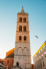 Fototapeta premium Zadar, Croatia. Old town street of Zadar with the Church of St. Donatus and the bell tower of the Cathedral of St. Anastasia at sunset.