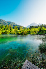 Nature Reserve Zelenci, krajnska gora, Slovenia, Europe. Wonderful morning view of Zelenci nature reserve. Slovenia travel