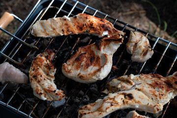 close-up view of grilled chicken on charcoal grill with juicy grilled marks and smoky flavors in outdoor setting, highlighting delicious barbecue scene with rustic vibes, texture, char, grate