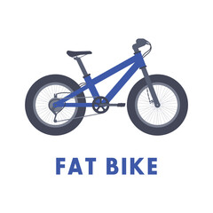 Flat style fat bike isolated over white background representing outdoor adventure and offroad cycling concept