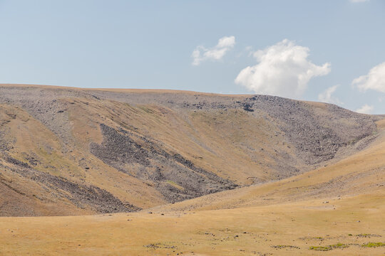 View of a sunlit, dry landscape featuring rolling hills that are covered with sparse vegetation under a blue sky, Lake Kari, Shirak Province, Armenia.