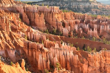 Orange hoodoos at sunrise in the amphitheater of Bryce Canyon National Park in Utah.