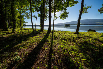 Onuma Park in the morning, enveloped in the shadows of the trees and the light of the lakeside