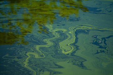 Onuma Park, Abstract Water Paintings