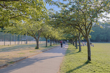 Battersea Park (power station) London, England - Peaceful view of trees on a cloudy day. 