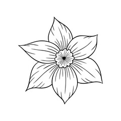 March birth flower daffodil, line art vector, black and white botanical illustration, elegant floral sketch, minimalist outline drawing, hand drawn monochrome flower design, vintage aesthetic
